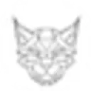 Linxvapor